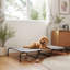 Structure pour chien en acier pour chien-1896243862