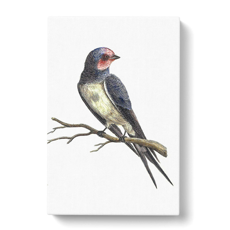 Swallow by Johan Teyler - Wrapped Canvas, 50cm H x 35cm W x 3cm D