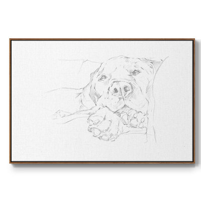 Lazy Dog I