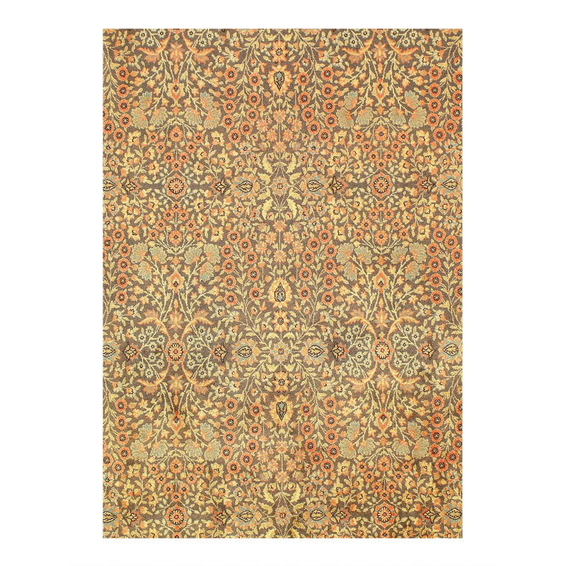 Oriental Area Rug in Brown