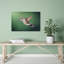 Hummingbird In Flight Colorful Contemporary Hummingbird Bird Nature Wildlife Wall Art Print by Atul Saluja - Print-1285777664