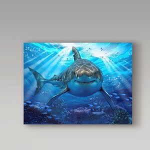 Stalking Shark - Wrapped Canvas Graphic Art Print