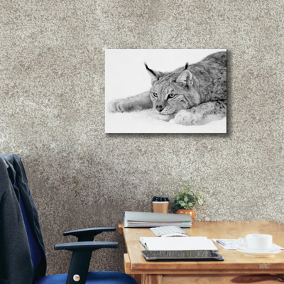 " Lynx 1 " by PhotoINC Studio