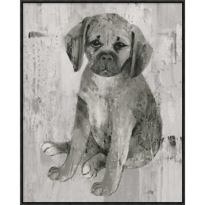 " Paco " by Albena Hristova, 20" H x 16" W, Wrapped Canvas, No Mat