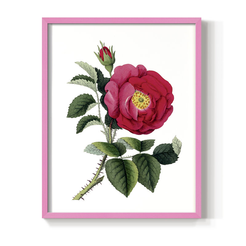 Botanical Beauty I Framed Print - Solid Wood, 11" H x 9" W, Pink