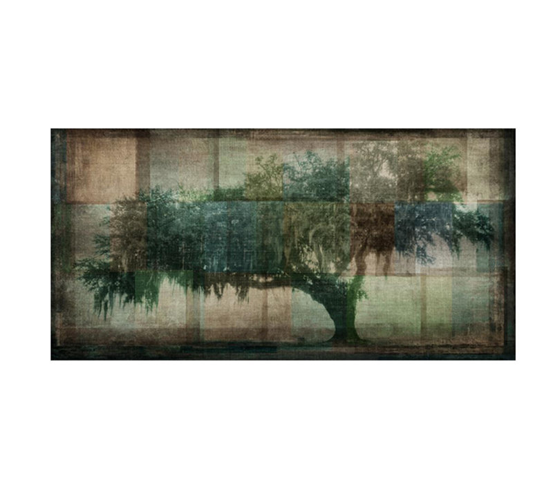 Tranquil Tree Print by Emma Brooks, 24" H x 48" W x 1.5" D, Outdoor