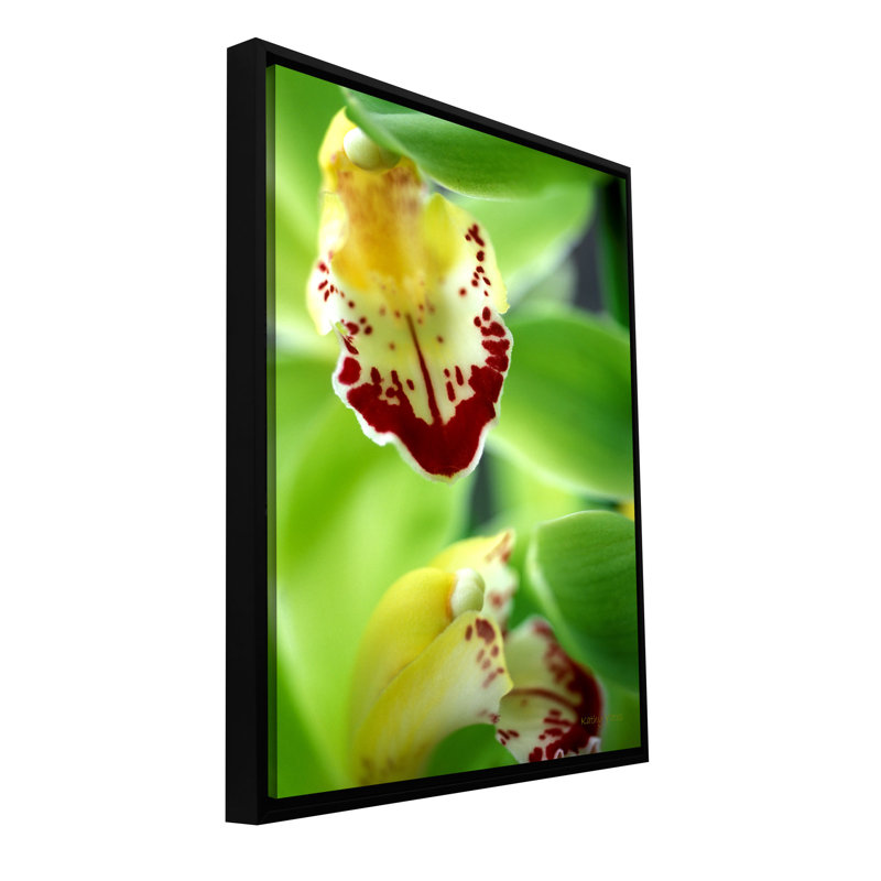 « cymbidium sea mousse émeraude orchidée » par kathy yates, reproduction de photo sur toile tendue encadrée