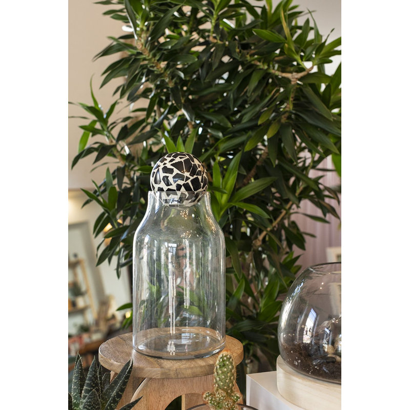 Terrarium en verre Alyssa, H 12 po x l 5,5 po x P 5,5 po