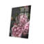 Imprimé pivoine rose sur verre acrylique-1783563080