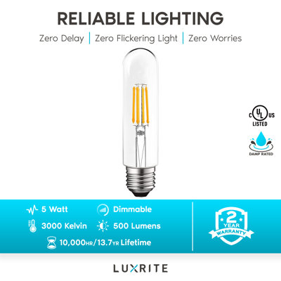 5 W (équivalent à 60 W), DEL T10, ampoule à intensité variable, culot moyen E26 (standard)