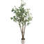 Plant-1308206858