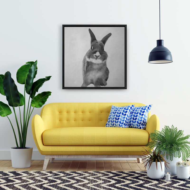 " Funny Gray Rabbit "