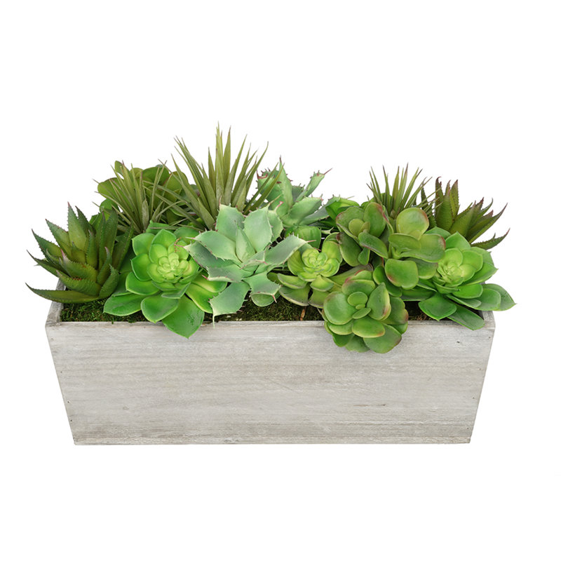 Plante grasse artificielle 5,5 po en pot, Gris