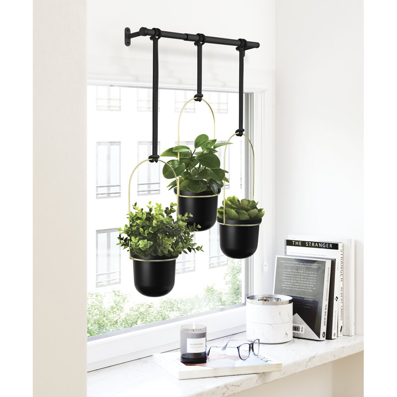 Hanging Planter, Black/Brass