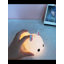Veilleuse Rabbit