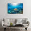 Reef Glider par Jordan Robins - reproduction d'art-56050054-56050457-56052648