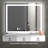 Janisia Glass Rectangle LED Mirror-1525466944