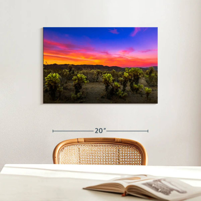 Cactus du parc Nicci Joshua, H 16 po x l 24 po