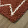 Kashvi Southwestern Shag Area Rug