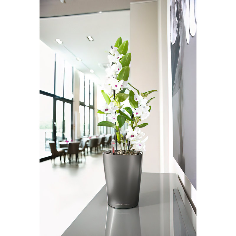 Deltini Pot Planter, 18cm H x 14cm W x 14cm D, Metallic Charcoal