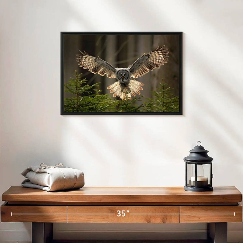 Brampt Flying Owl, 13" H x 19" W