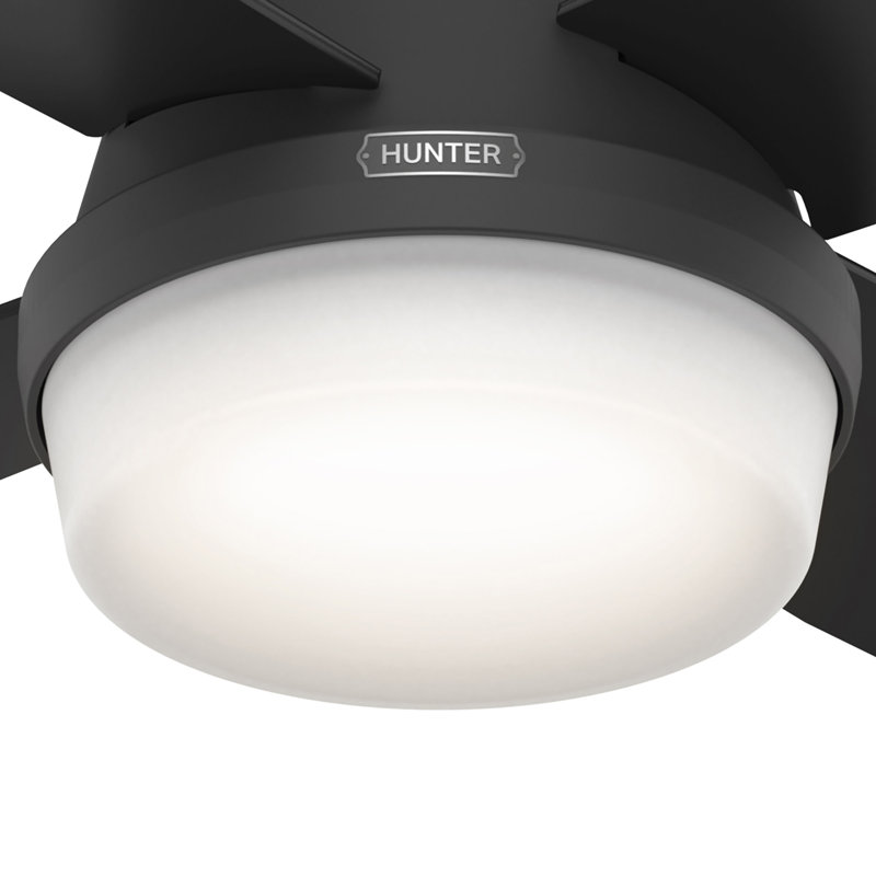 Dempsey 52" 4 - Blade Contemporary Indoor Ceiling Fan with Lights and Remote, Matte Black