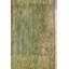 Jute / Sisal Striped Area Rug in Green
