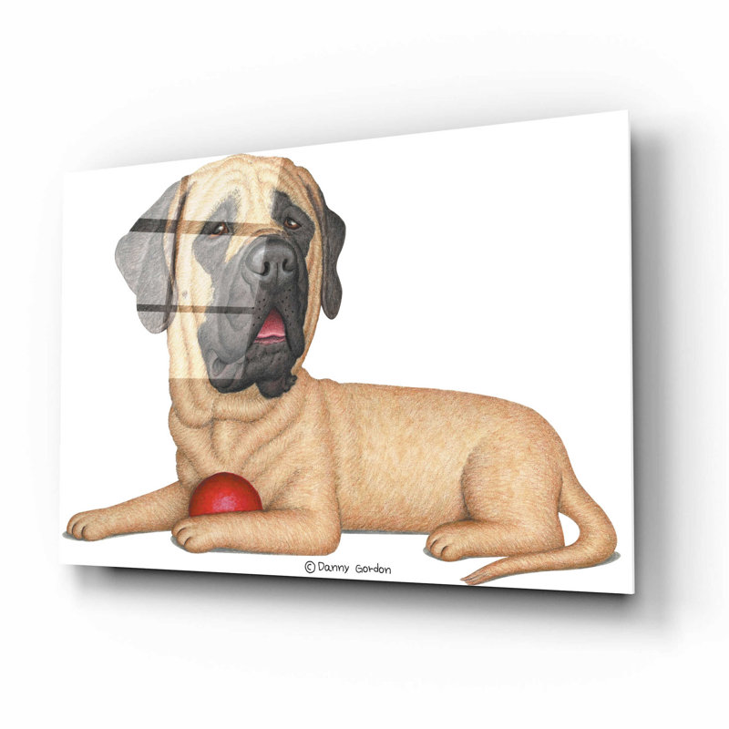 Mastiff Red Ball, H 12 po x l 16 po x P 0,13 po