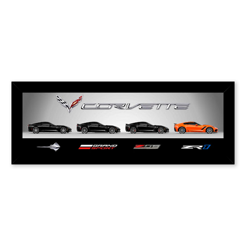 " 2019 Corvettes "