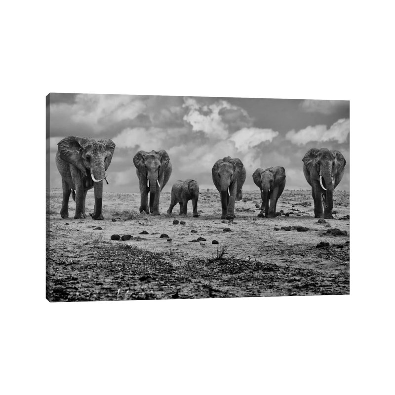 Big Family by Marcel Rebro - Gallery-Wrapped Canvas Giclée on Canvas, 20.32 cm H x 30.48 cm W, Canvas