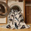  Tapis lavable à œil foncé Junco Birds-677884128