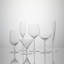 Elegance Classic Flute 8 fl oz
