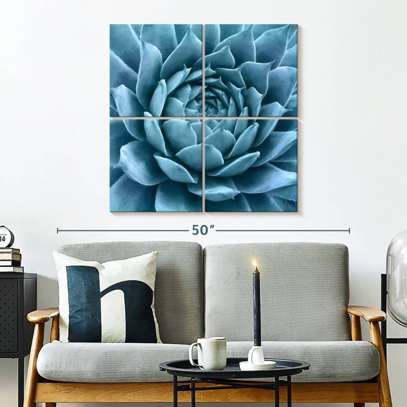Agave bleu argenté Harnek, H 32 po x l 32 po