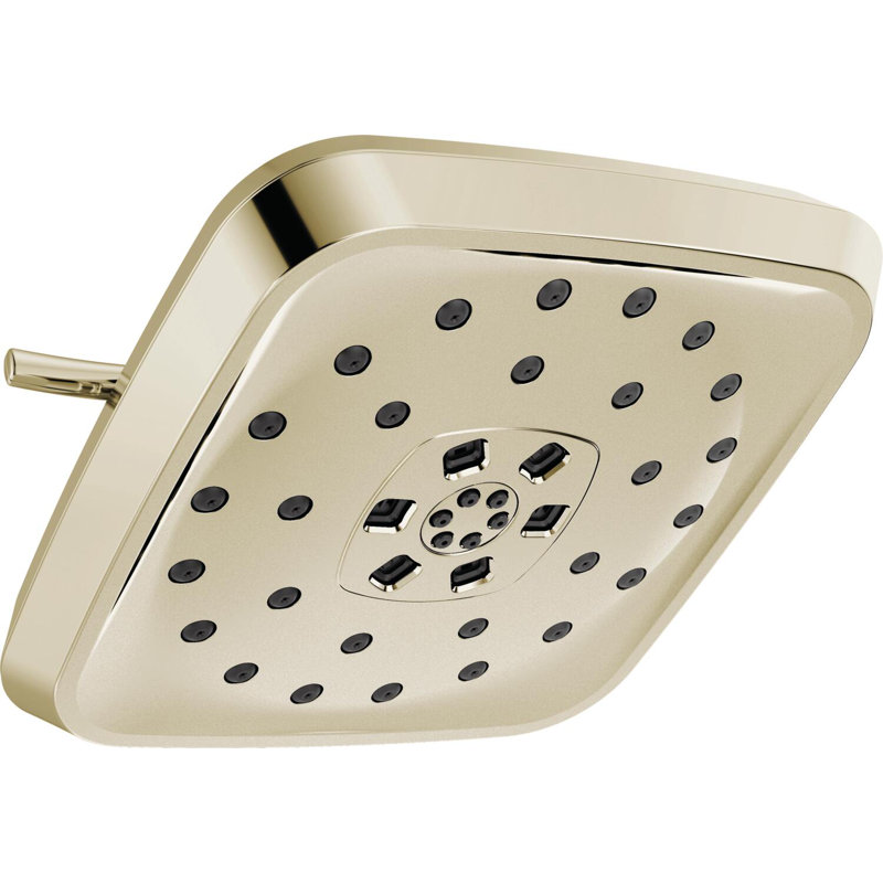 Rain Adjustable Shower Head with H2Okinetic Technology, Lumicoat Polished Nickel