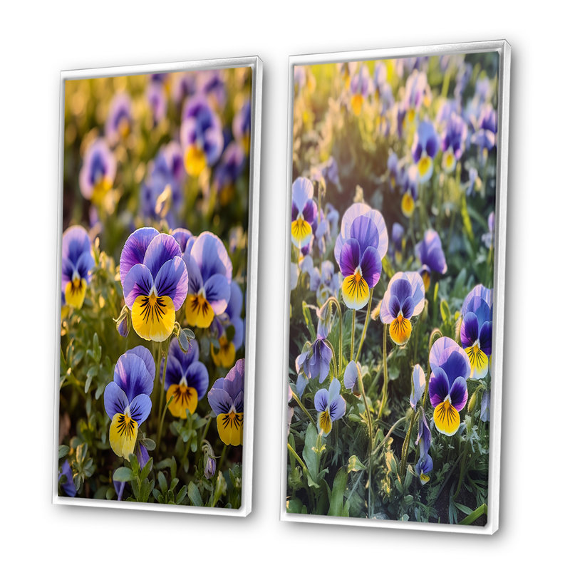 «Purple Yellow Natures Pansies», 2 pièces sur toile, Cadre blanc, H 24 po x l 20 po