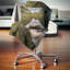 Coussin Seashore-29342679-89821570