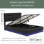 Lit plateforme tapissier double Dinuthi-87849689