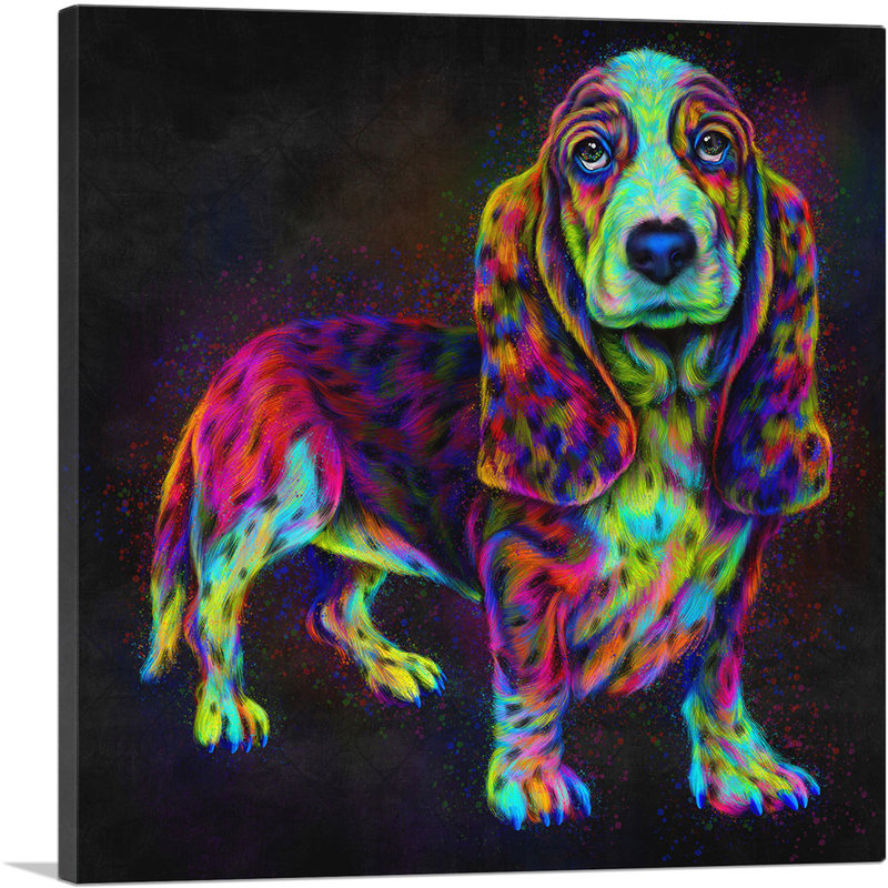 Basset hound - impression sur toile tendue, H 12 po x l 12 po x P 1,5 po