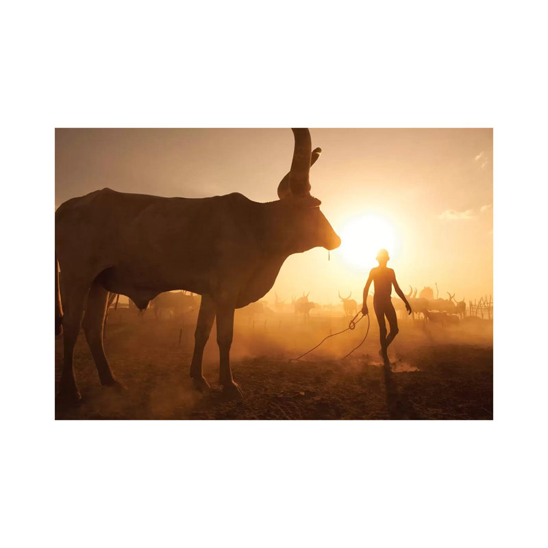Saving The Cows by Hesham Alhumaid - Wrapped Canvas Print, 66.04 cm H x 45.72 cm W x 3.175 cm D
