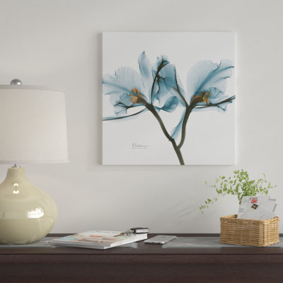 " Orchid " by Albert Koetsier