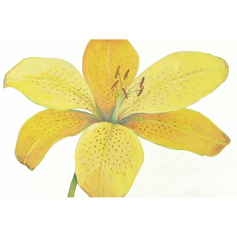 Citron Tiger Lily II - Wrapped Canvas Painting, 30cm H x 46cm W x 3.8cm D