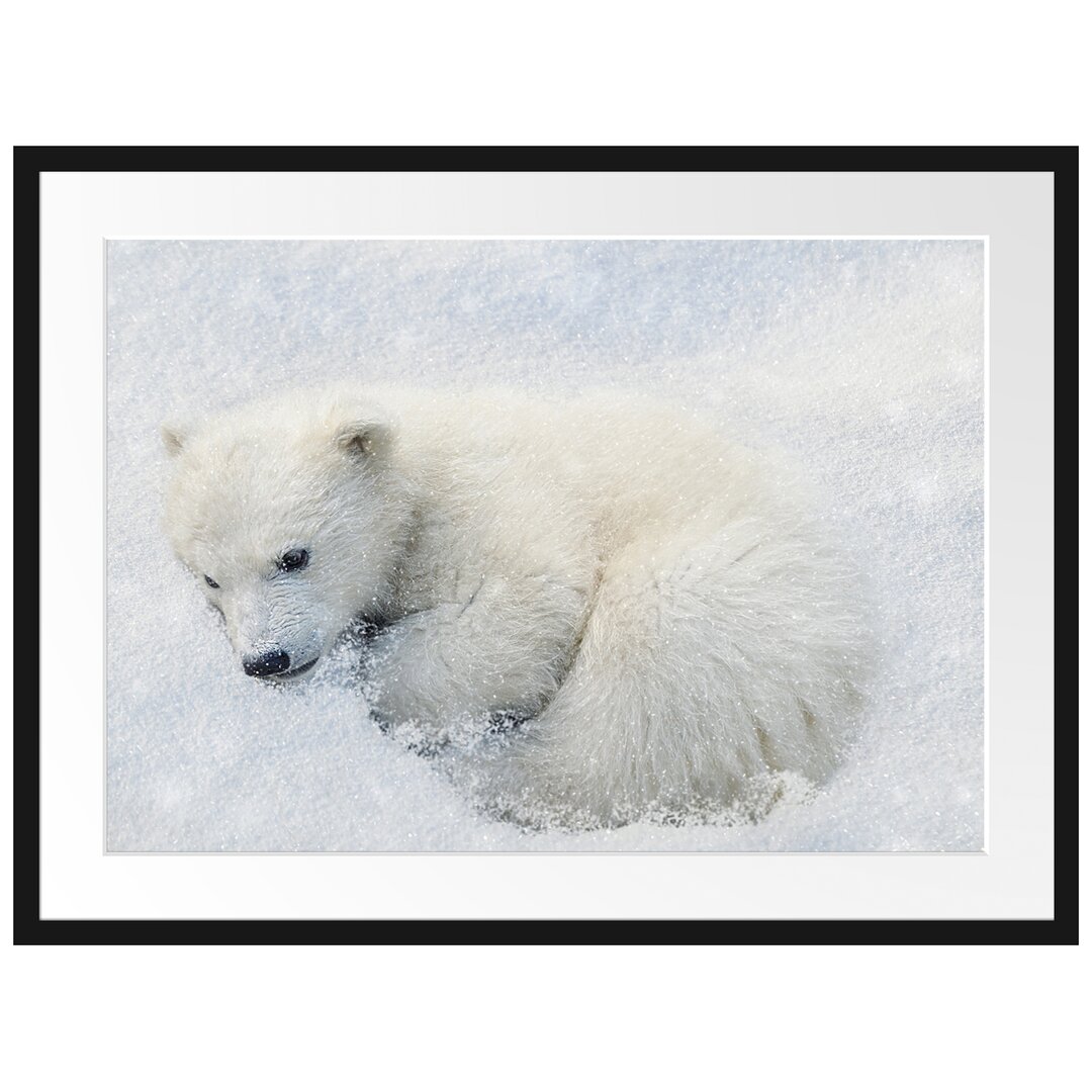 Gerahmtes Poster Eisbär im Schnee