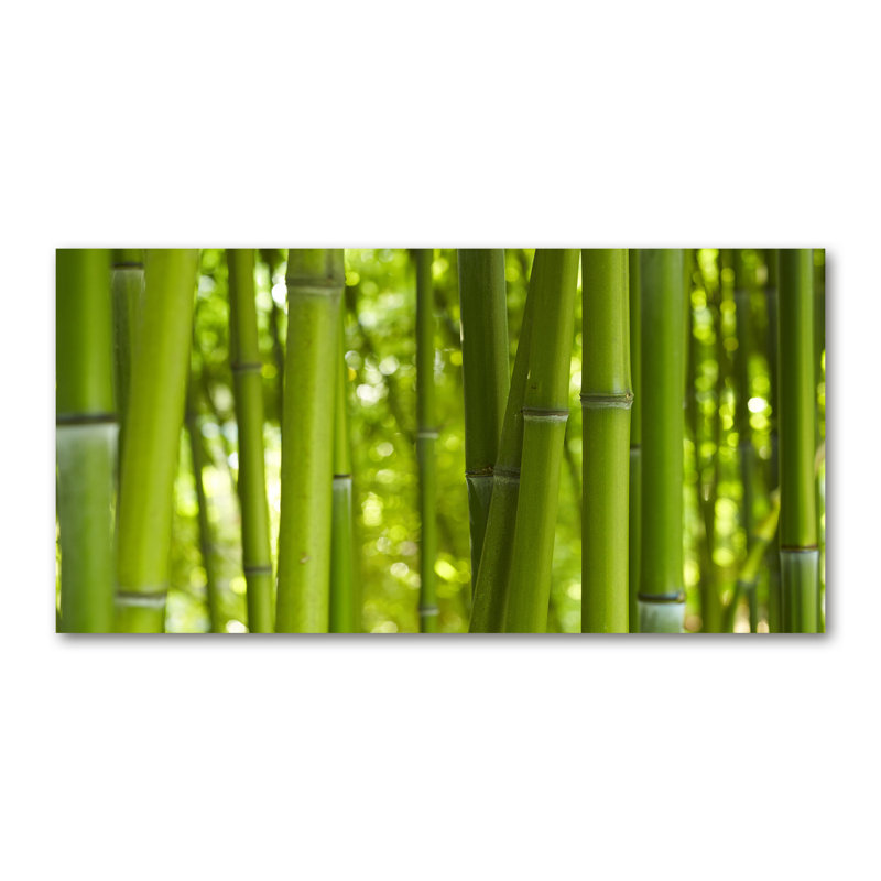 Bamboo - Wrapped Canvas Print