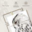 Chouette effraie blanche sur toile, 3 pièces-564981858