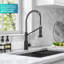 Robinet de cuisine KRAUS 2-en-1 à filtre à eau rétractable à poignée simple de style commercial pour osmose inverse ou système de filtration d'eau KRAUS-91717658