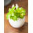 Ceramic Pot Planter