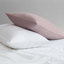 Dobby 100% Cotton Standard Sheet Set-1793609190-1810063837