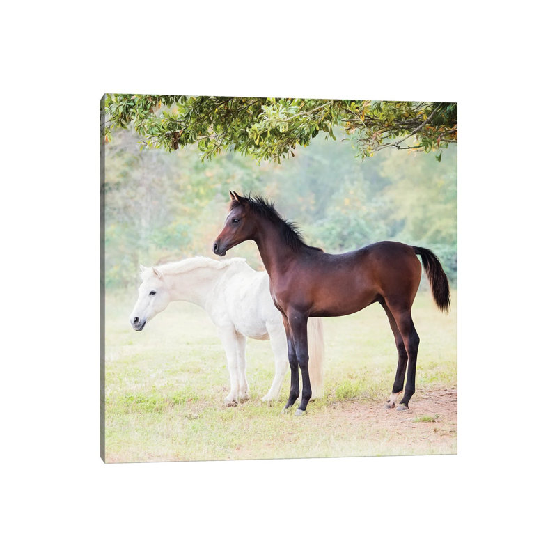Collection Of Horses VII by PHBurchett - Wrapped Canvas Print, 66.04 cm H x 66.04 cm W x 1.91 cm D