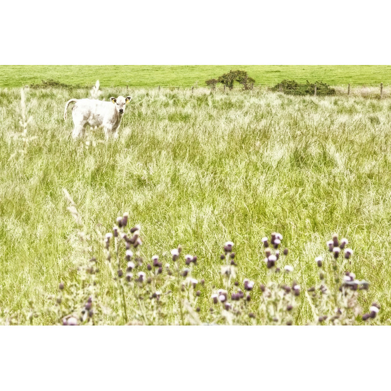 Bucolic Scene XI - Wrapped Canvas Print, 61cm H x 91cm W x 3.8cm D