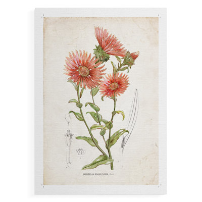 Botanique I - Impression sur toile seulement - NON-CADRE
